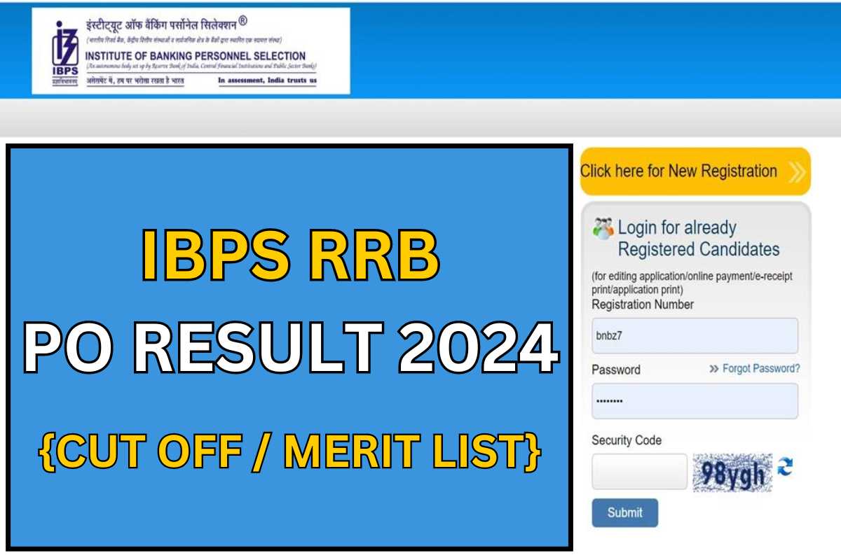 IBPS RRB PO Result 2024 - Cut Off Marks, Score Card @ ibps.in