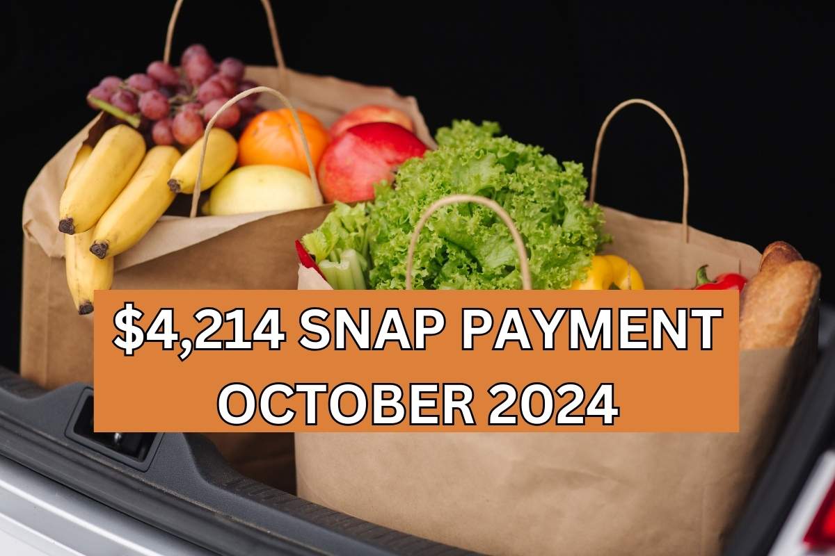 $4,214 SNAP Payment October 2024