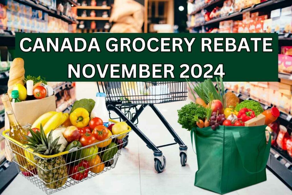 Canada Grocery Rebate November 2024