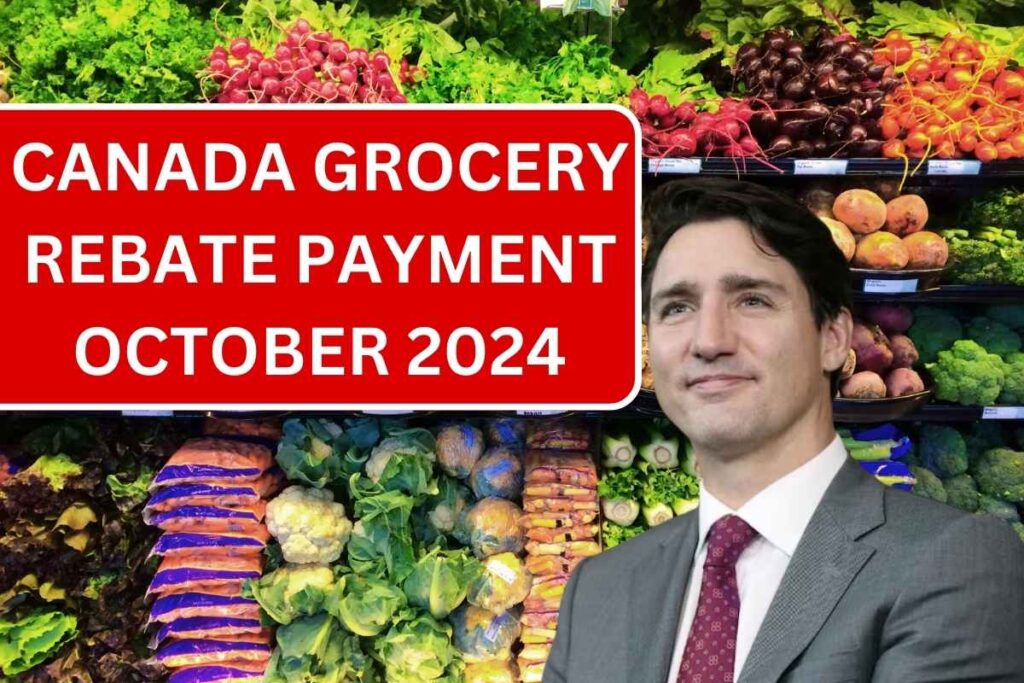 Canada Grocery Rebate Payment October 2024 - Deposit Dates