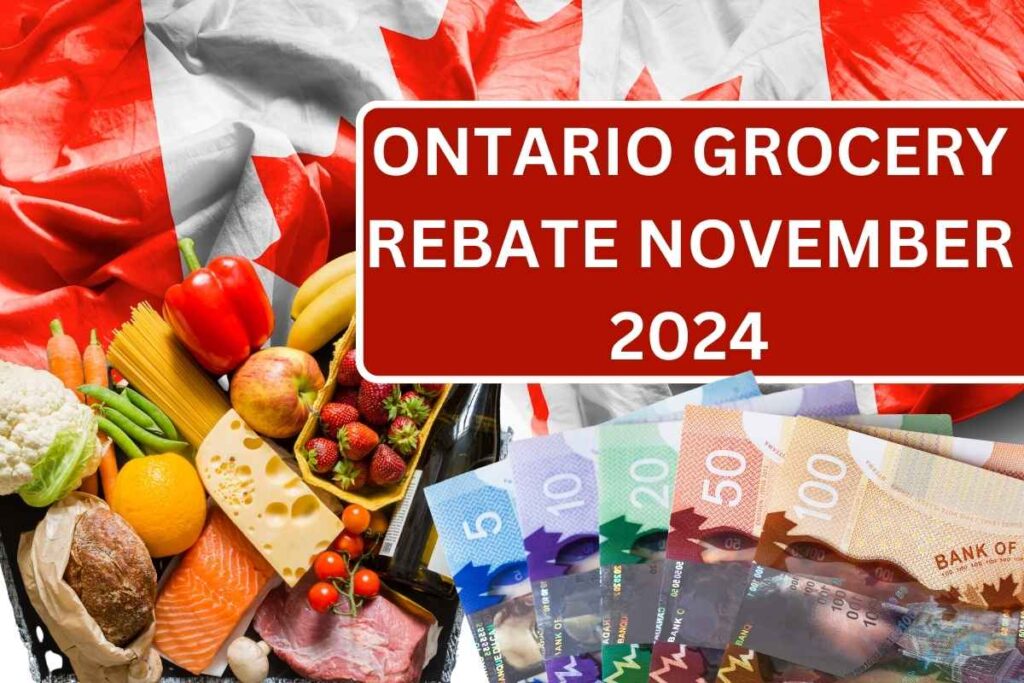 Ontario Grocery Rebate November 2024