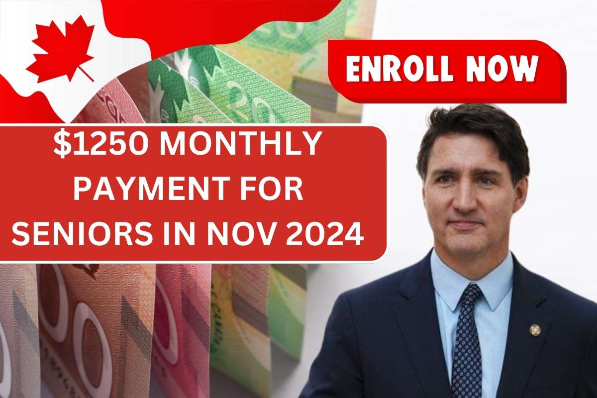 $1250 Monthly Payment For Seniors In Nov 2024