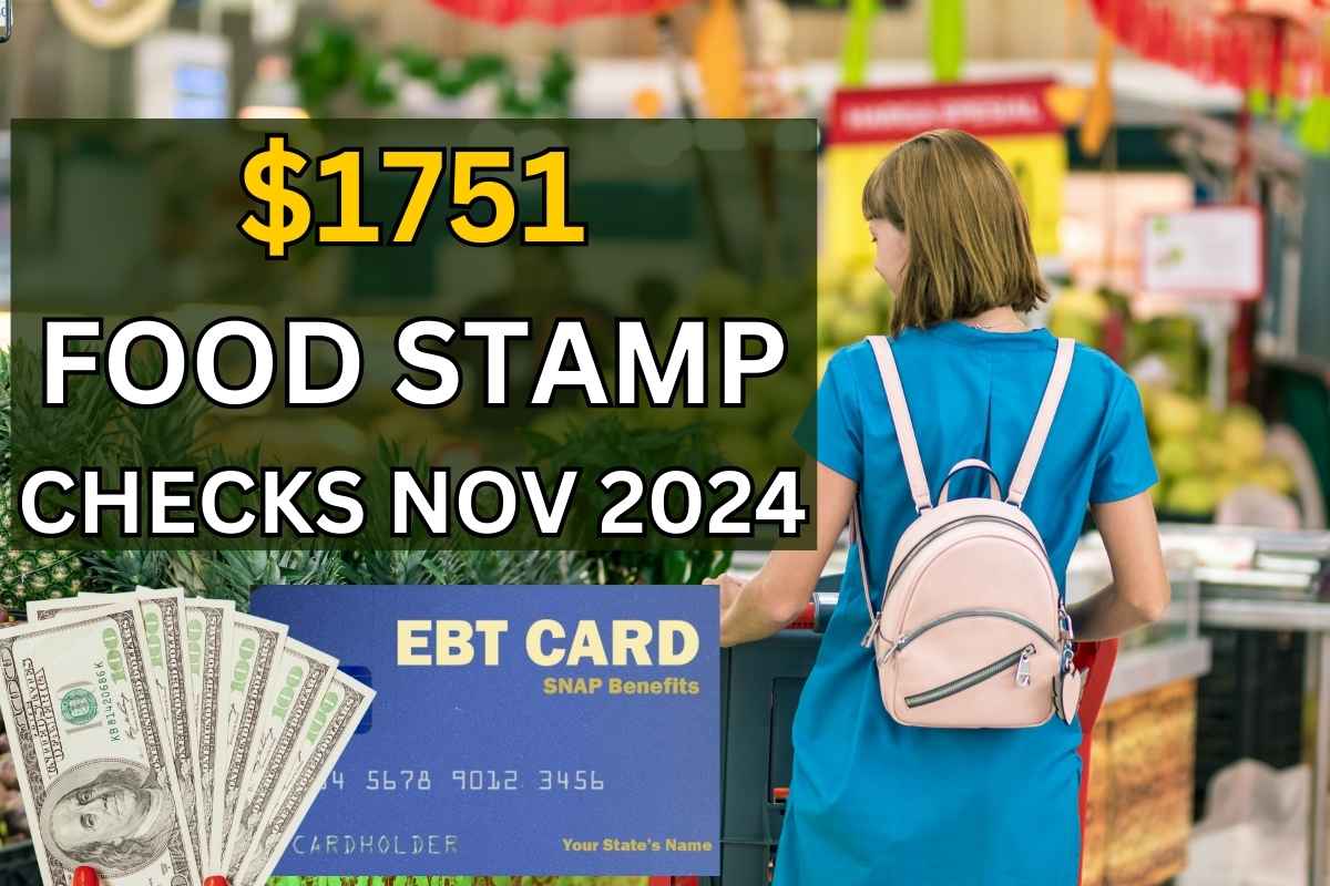 $1751 Food Stamp Checks Nov 2024