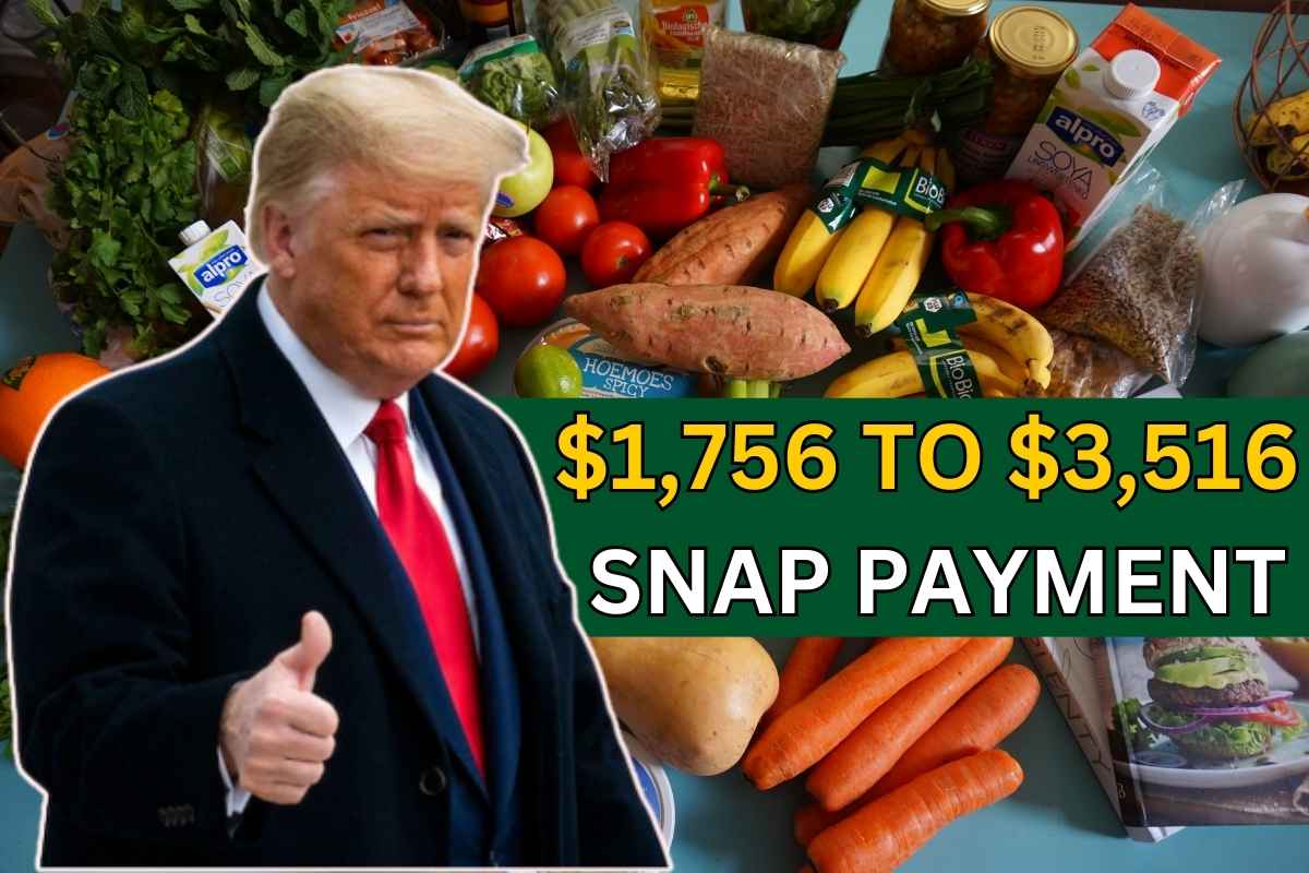 $1,756 To $3,516 SNAP Payment In December 2024