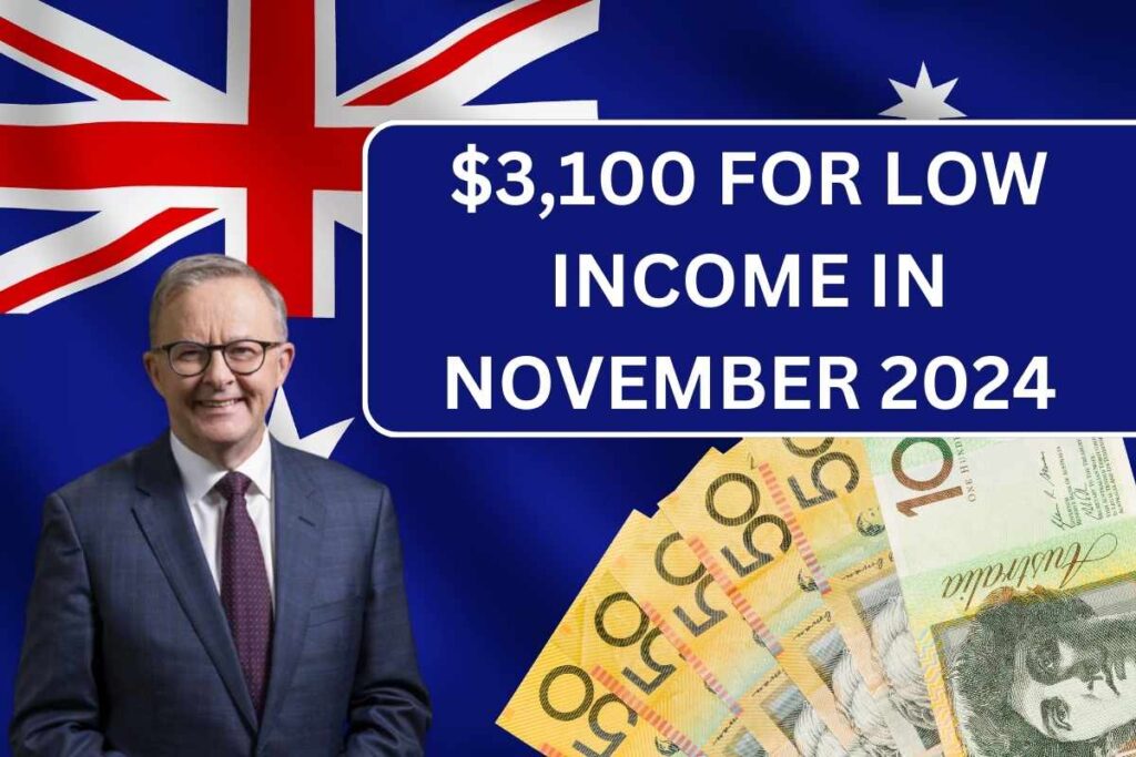 $3,100 For Low Income in November 2024 By Centrelink