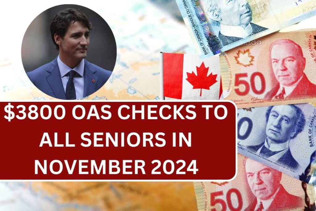 $3800 OAS Checks To All Seniors On November 4th, 2024