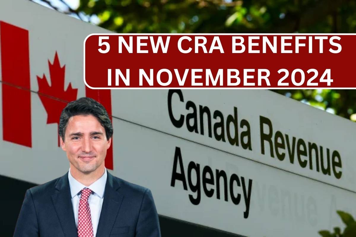 5 New CRA Benefit Payments in November 2024 - Know Amount & Payment Dates