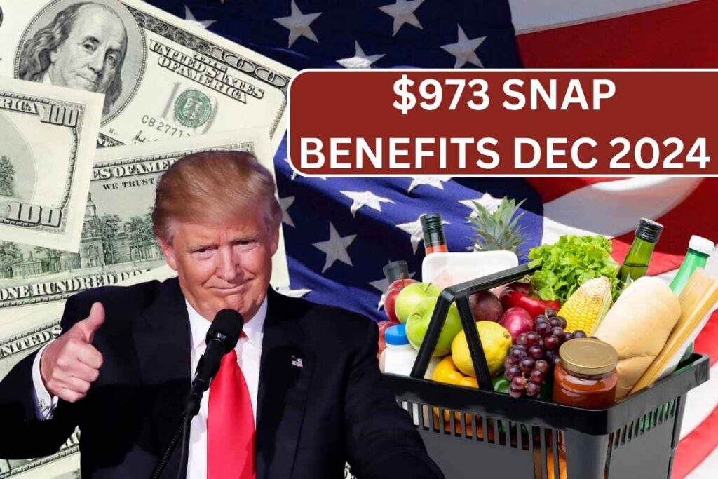 $973 SNAP Benefits Dec 2024 - Know Payout Dates, Amount & Eligibility