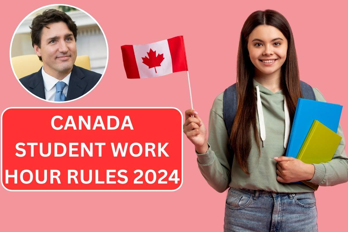 Canada Student Work Hour Rules 2024, Know Eligible Work Hours