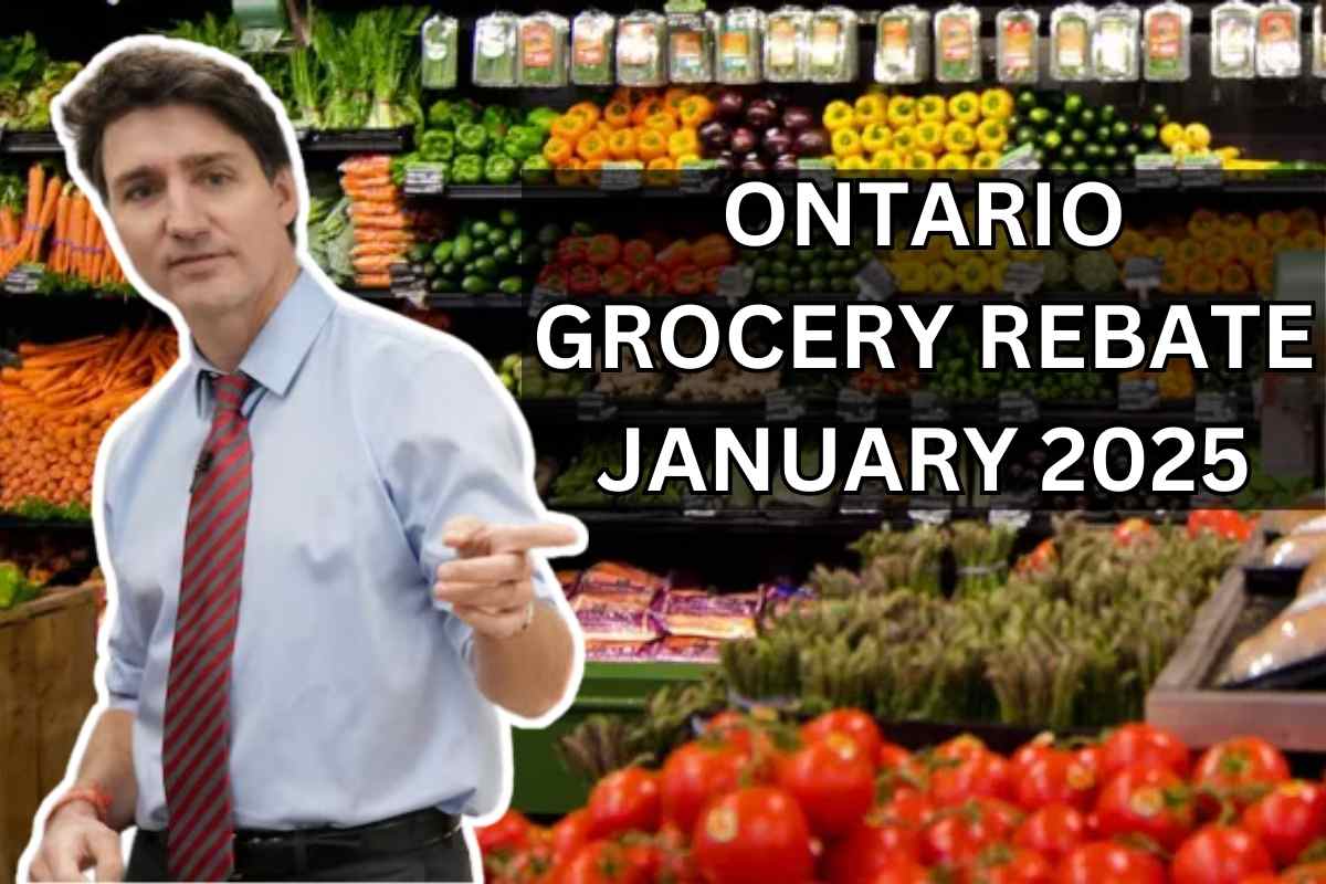 Ontario Grocery Rebate For January 2025