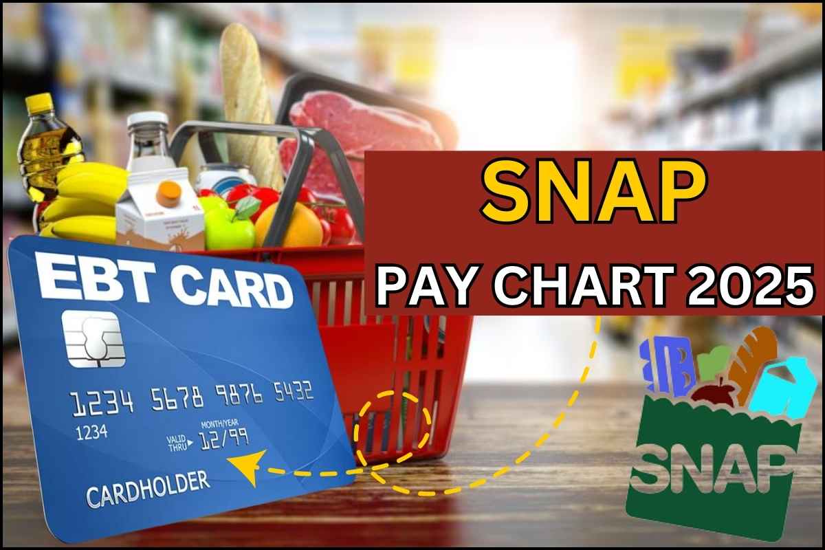 SNAP Pay Chart 2025