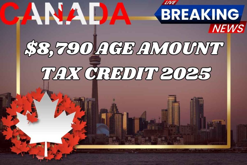 $8,790 Age Amount Canada Tax Credit February 2025