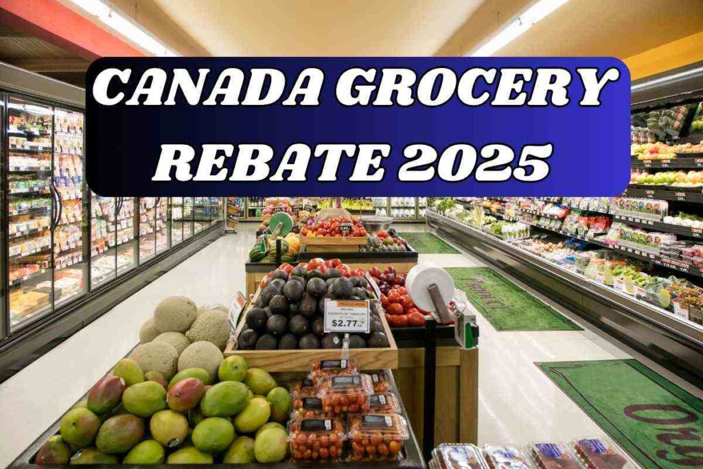 Canada Grocery Rebate 2025